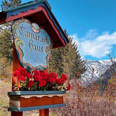 Вилла Tamarack Haus Hot Tub And Ev Charging Walk Dtwn! Левенуэрт Экстерьер фото